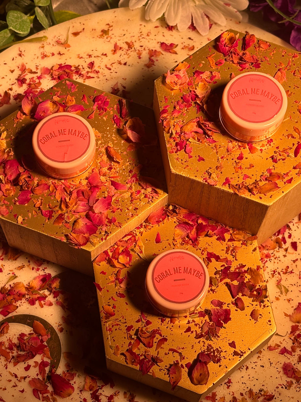 Coral Me Maybe? — Powder Blush