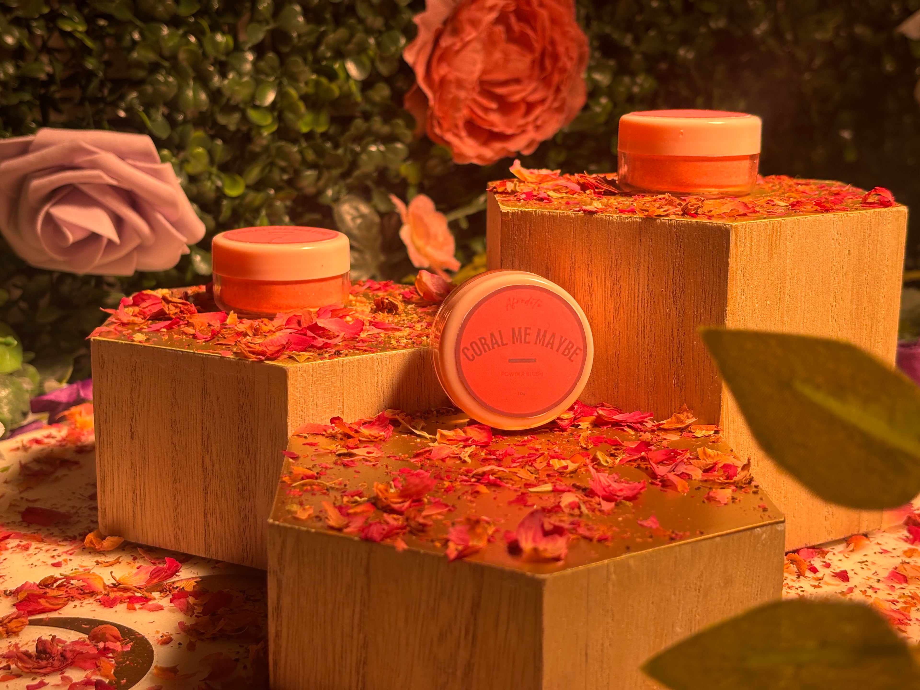 Coral Me Maybe? — Powder Blush